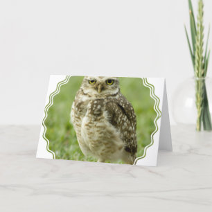 Het waakzame Wenskaart van de Uil Kaart