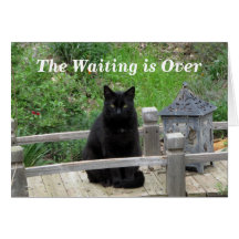 Het wachten is over een pre-Wedding Kaart