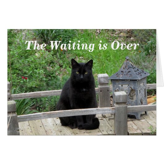 Het wachten is over een pre-Wedding Kaart (Voorkant Horizontaal)