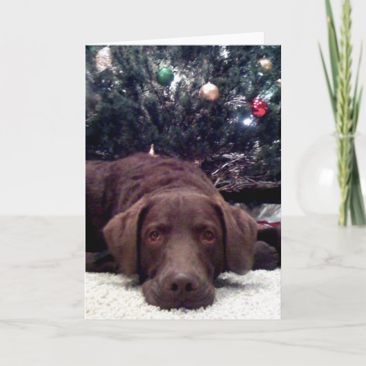 Het wachten op Kerstman Feestdagen Kaart (Voorkant)
