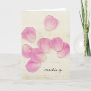Het "wachtende" Roze nam de Kaart van