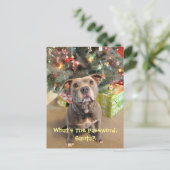 Het Wachtwoord van Pitbull voor het Briefkaart van (Staand voorkant)