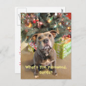 Het Wachtwoord van Pitbull voor het Briefkaart van (Voorkant / Achterkant)