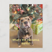 Het Wachtwoord van Pitbull voor het Briefkaart van (Voorkant)