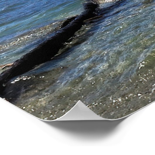 Het Wakatipu-meer en de "Remarkables" Poster (Hoek)