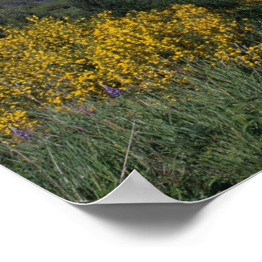 Het Wakatipu-meer en de Remarkables, Queenstown, Poster (Hoek)