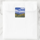 Het Wakatipu-meer en de Remarkables, Queenstown, Vierkante Sticker (Tas)