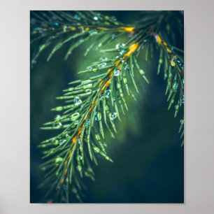 Het wandtapijt van de natuur: de schoonheid van bl poster