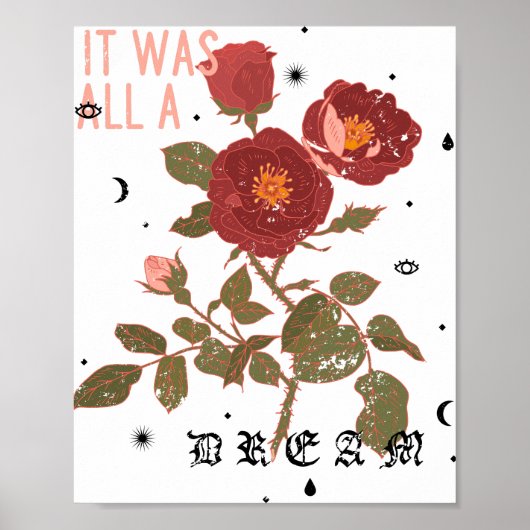 HET WAS ALLEMAAL ROOS POSTER (Voorkant)