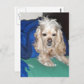 Het was een harde nacht briefkaart (Voorkant / Achterkant)