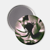 Het was een mooie dag.Anemone Magnet (Voorkant / Achterkant)