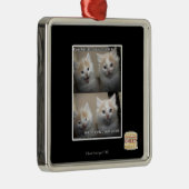 Het was Fluffy Metalen Ornament (Rechts)