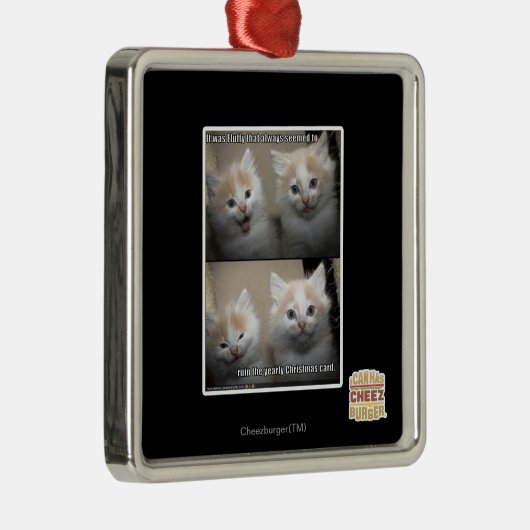 Het was Fluffy Metalen Ornament (Rechts)