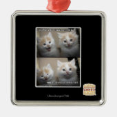 Het was Fluffy Metalen Ornament (Voorkant)