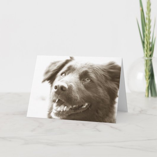 Het was groot ziend u! bedankkaart (Voorkant)