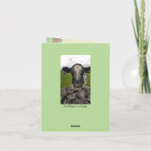 Het was je verjaardag - Cheeky Koe Kaart (Achterkant)