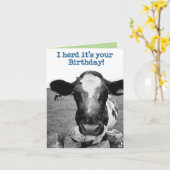 Het was je verjaardag - Cheeky Koe Kaart (Gele Bloem)