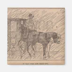 Het was koude zwarte schoonheid magneet