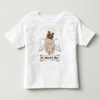 Het was niet mijn engel die grappig citaat T-Shirt