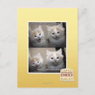 Het was Pluizig Briefkaart