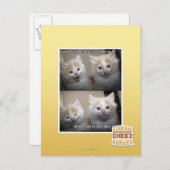 Het was Pluizig Briefkaart (Voorkant / Achterkant)