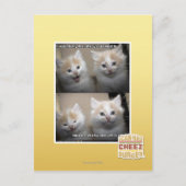 Het was Pluizig Briefkaart (Voorkant)