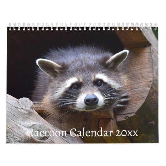 Het wasbeerbos kalender (Hoes)