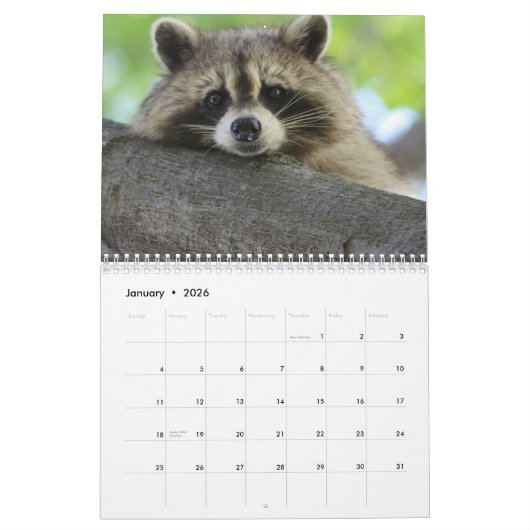 Het wasbeerbos kalender (Jan 2026)