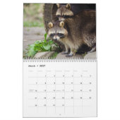 Het wasbeerbos kalender (Mar 2027)