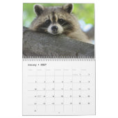 Het wasbeerbos kalender (Jan 2027)