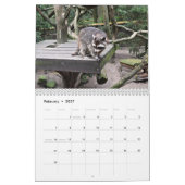 Het wasbeerbos kalender (Feb 2027)
