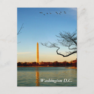 Het Washington Monument Briefkaart