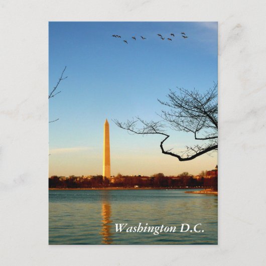 Het Washington Monument Briefkaart (Voorkant)