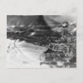 Het  water briefkaart (Voorkant)