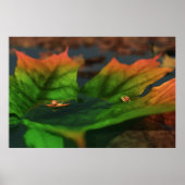 Het water is breed afgedrukt poster (Voorkant)