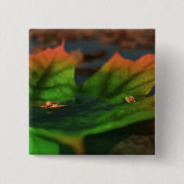 Het water is een brede Button (Voorkant)