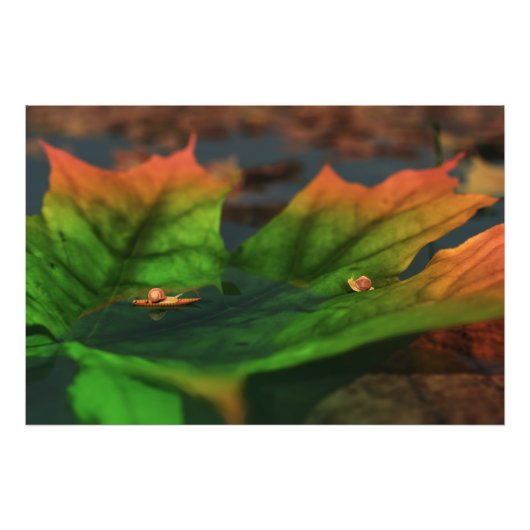 Het water is een brede foto foto afdruk (Voorkant)