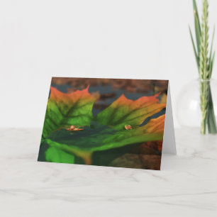 Het water is een brede Kaart