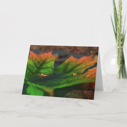 Het water is een brede Kaart (Voorkant)