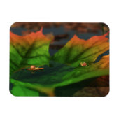 Het water is een breed flexibel magneet (Horizontaal)