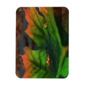 Het water is een breed flexibel magneet (Verticaal)