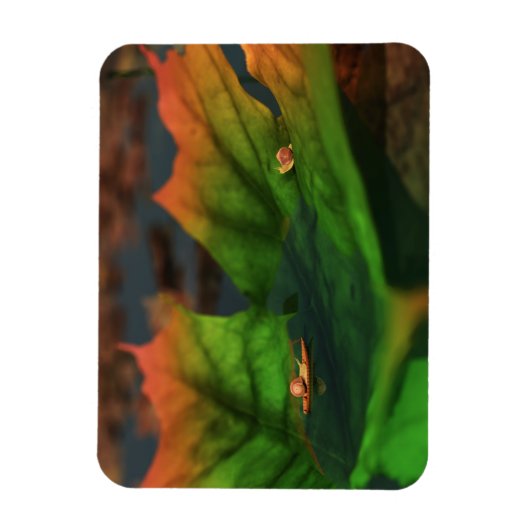 Het water is een breed flexibel magneet (Verticaal)