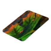 Het water is een breed flexibel magneet (Linkerzijde)