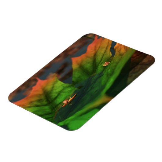 Het water is een breed flexibel magneet (Linkerzijde)