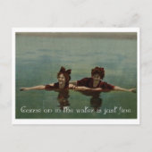 Het water is gewoon goed briefkaart (Voorkant)