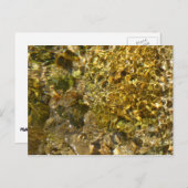Het water van de Kaweah River Abstracte Natuur Briefkaart (Voorkant / Achterkant)