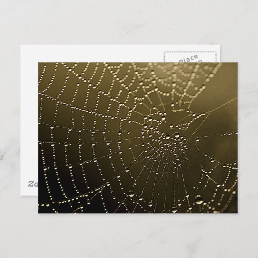 Het Web Briefkaart (Voorkant / Achterkant)