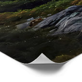 Het web over bergen poster (Hoek)