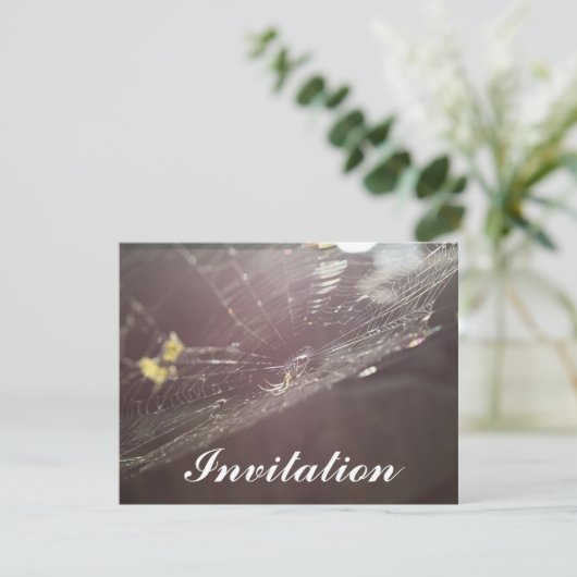 het web van charlotte kaart (Staand voorkant)