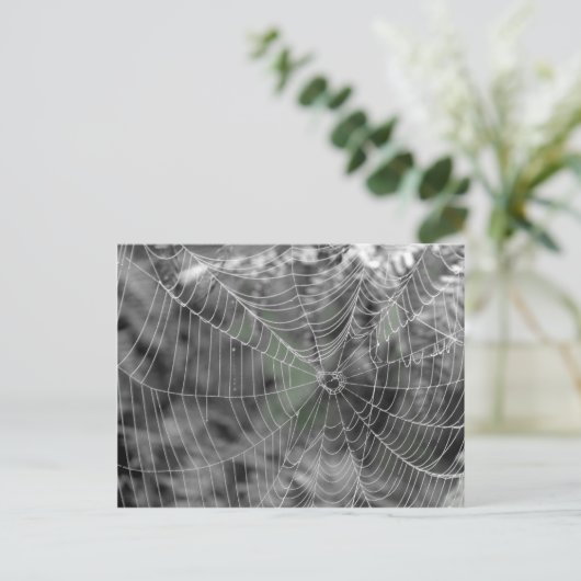 HET WEB VAN SPINNEN BRIEFKAART (Staand voorkant)